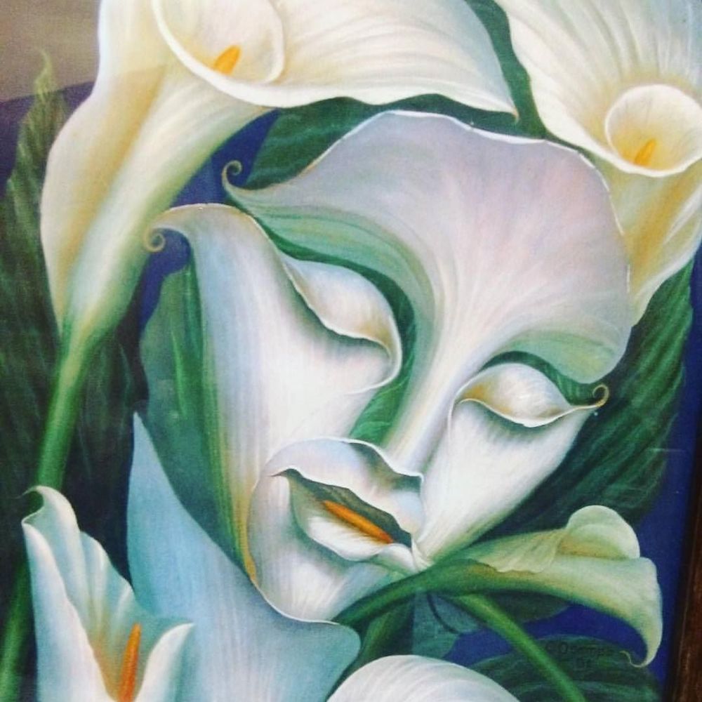 Meet your Posher, Binky